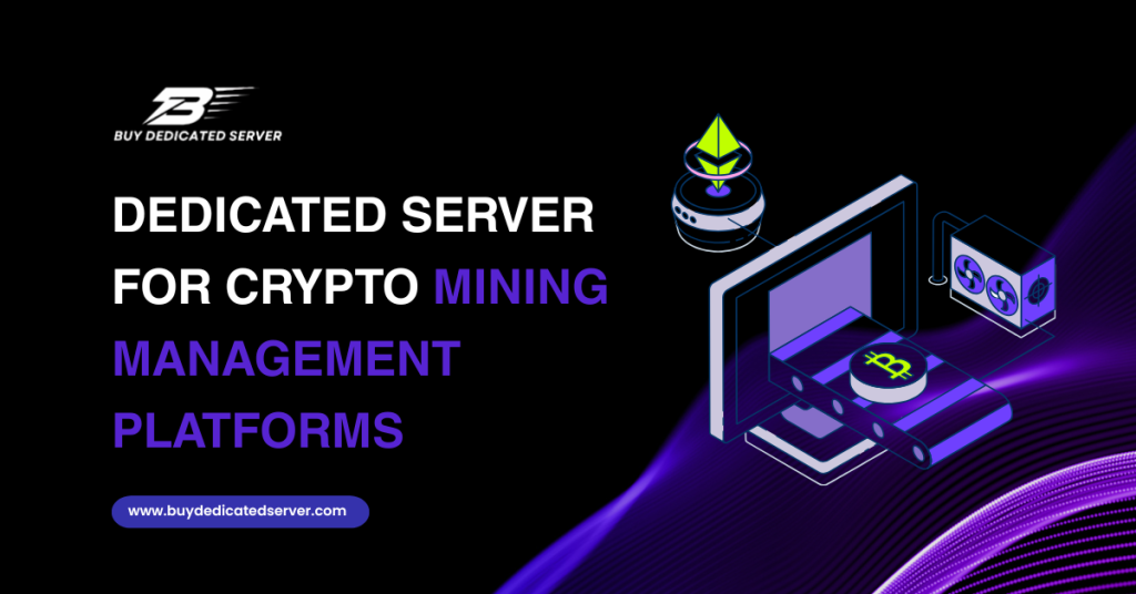 Dedicated Server for Crypto Mining Management Platforms